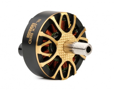 ●T-Bird T-MOTORHOBBY BLACK BIRD V2.0_Champion Co-brand_FPV Drone