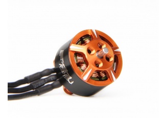 T-MOTORHOBBY F15 1106 Micro Motor