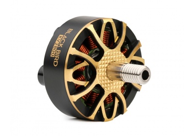T-MOTORHOBBY BLACK BIRD V2.0