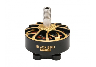 T-MOTORHOBBY BLACK BIRD V2.0