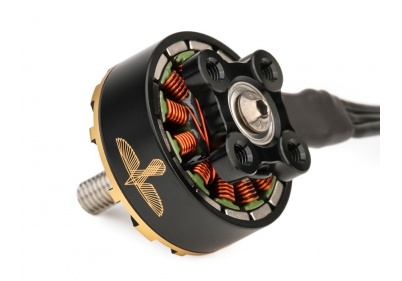 T-MOTORHOBBY BLACK BIRD V2.0