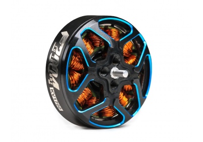 T-MOTORHOBBY F2004 racing/long range motor