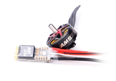 T-MOTORHOBBY P5B Combo（AM83+AM53）
