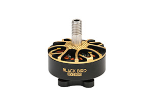 T-MOTORHOBBY BLACK BIRD V2.0