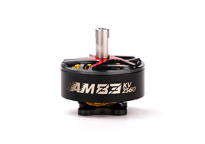 T-MOTORHOBBY AM83 P5B